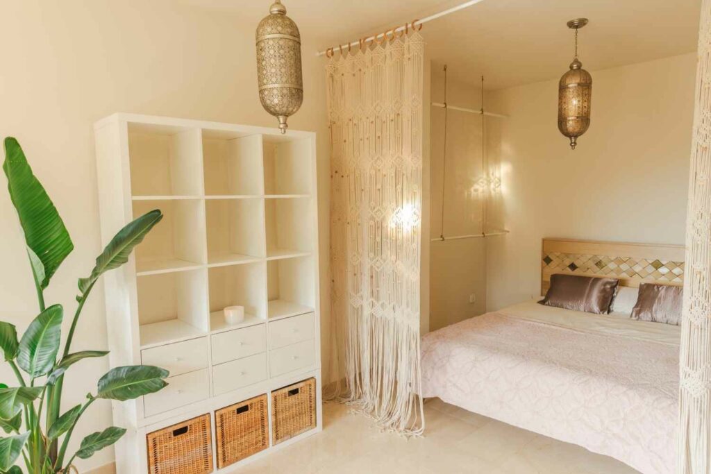 Alma Suite